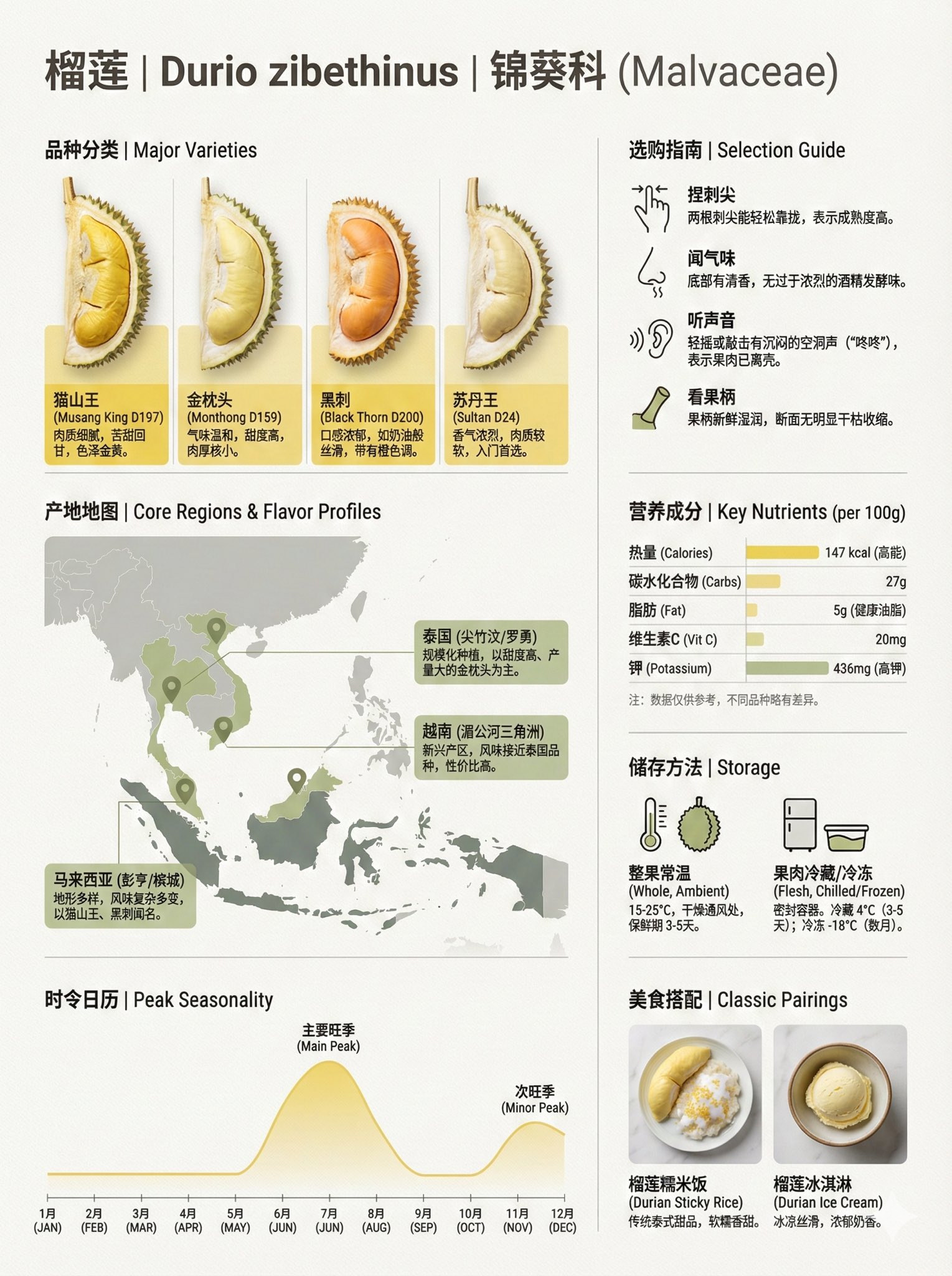 Banana Variety Encyclopedia Infographic, Technology, nanoBanana-Pro, Aesthetic Grid Layout, Banana Variety reference image