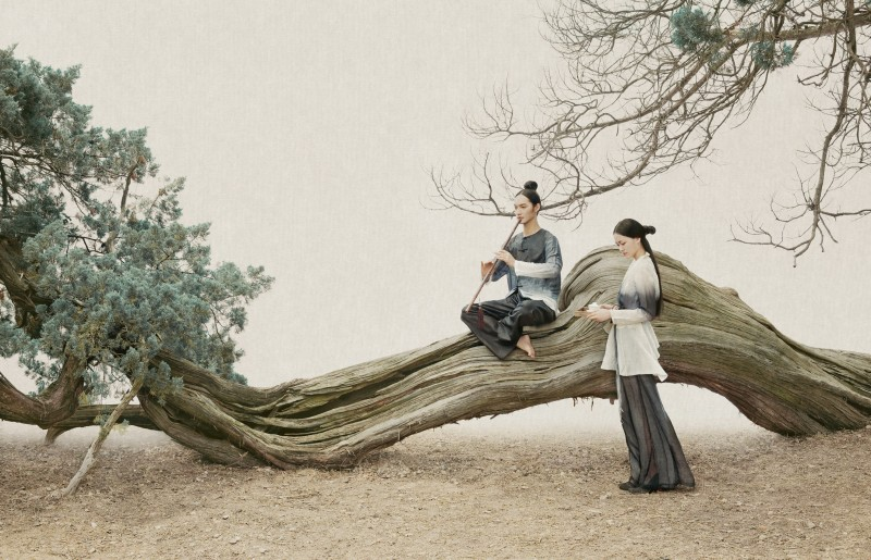 Tang Dynasty Court Music Band Playing on the Elm Tree, People, nanoBanana-Pro, Civet Hair Canvas, Elegant Lighting reference image