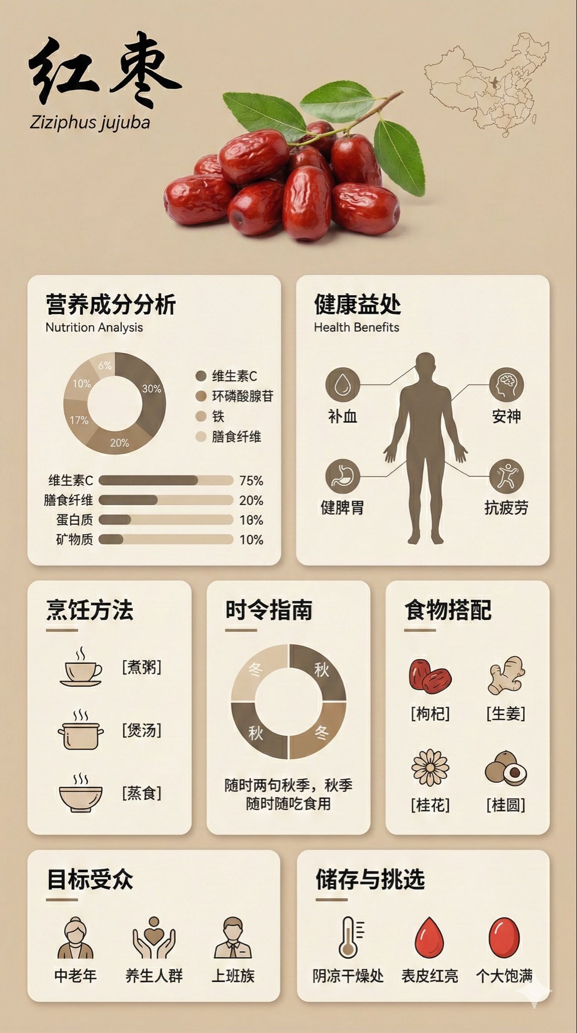 Goji Berry Informational Illustration
