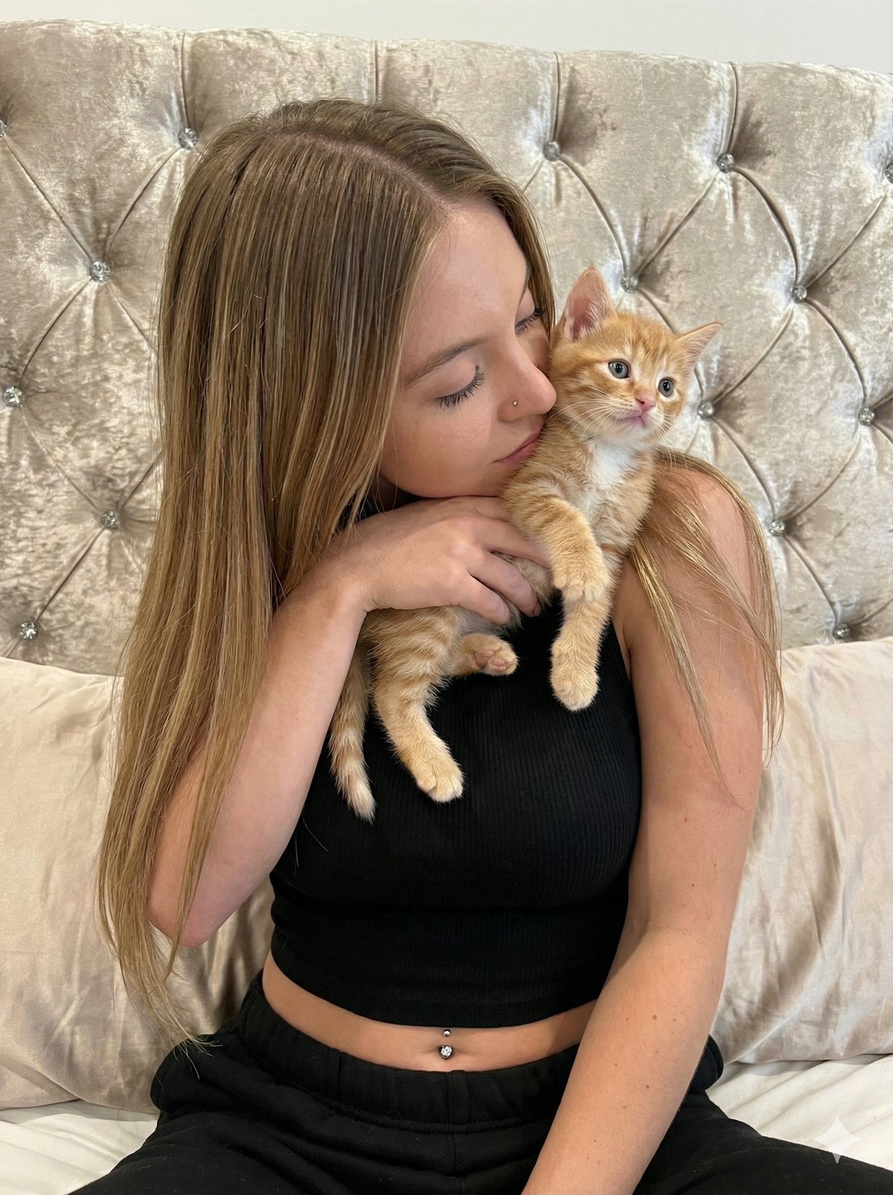 Elegant Cat