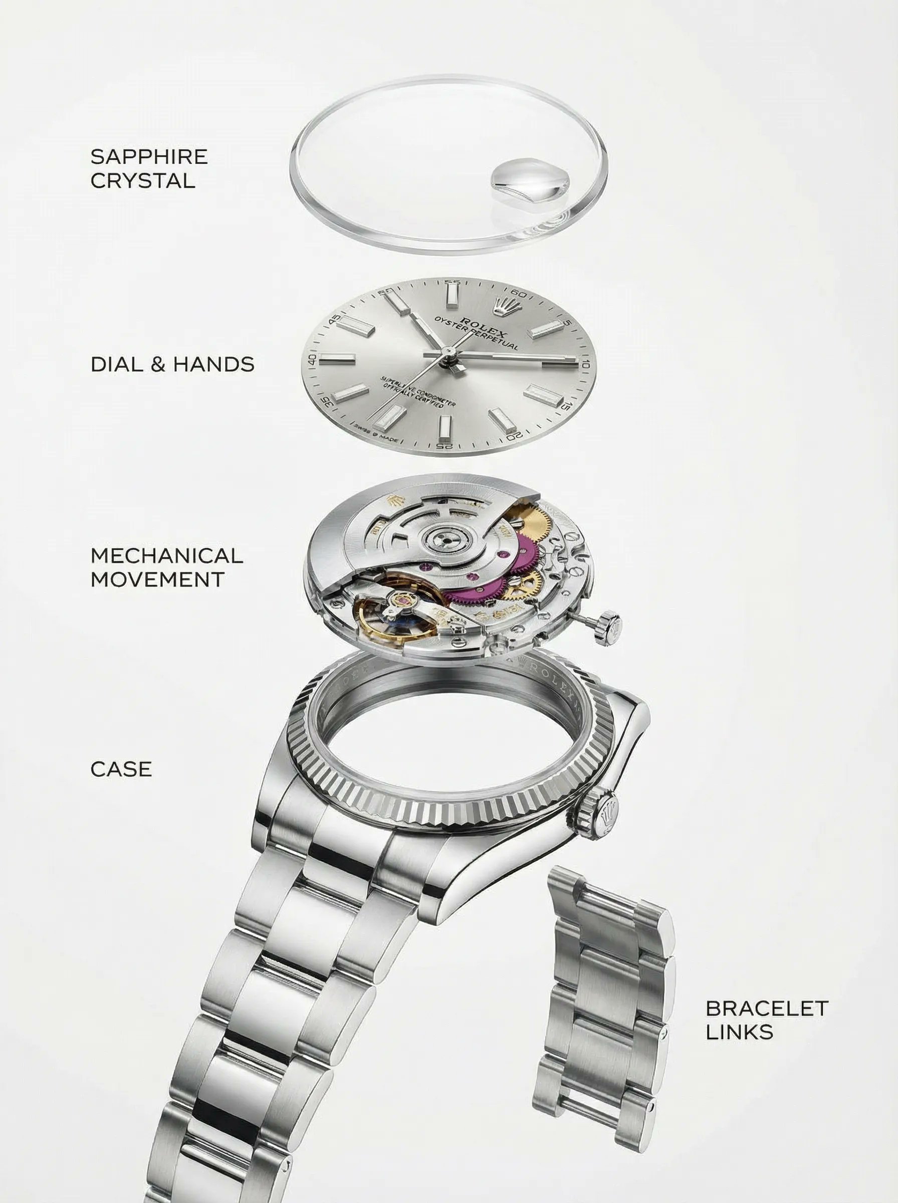 Luxury Watch Disassembly Animation
