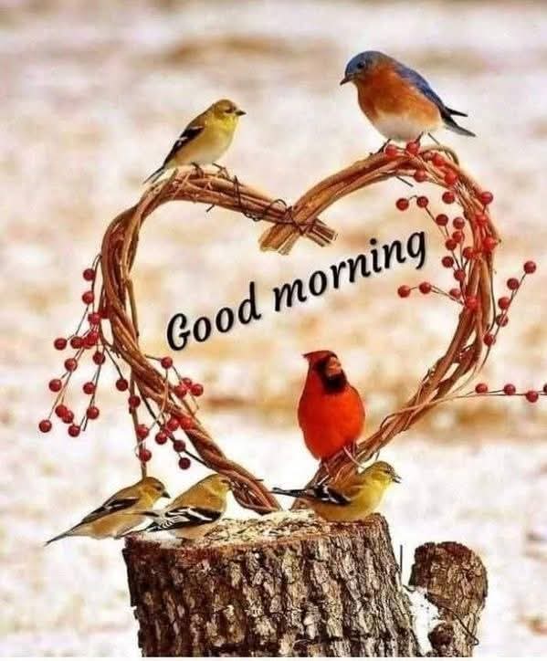 A New Day, A New Start
