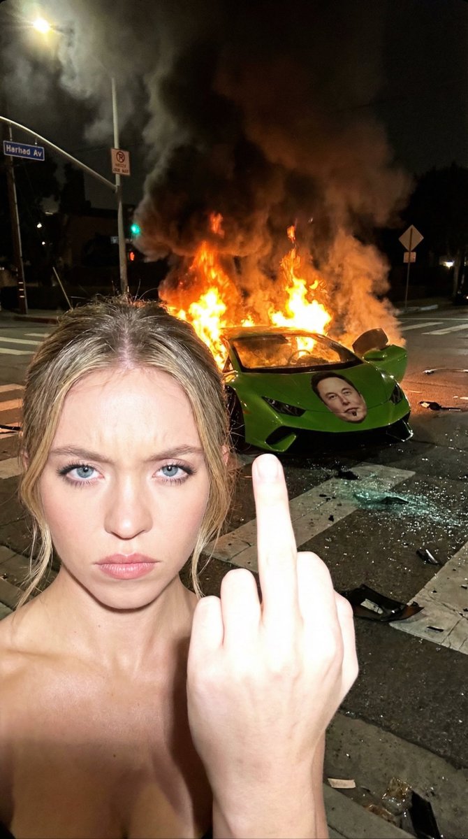Sydney Sweeney - The Crash & The Gesture