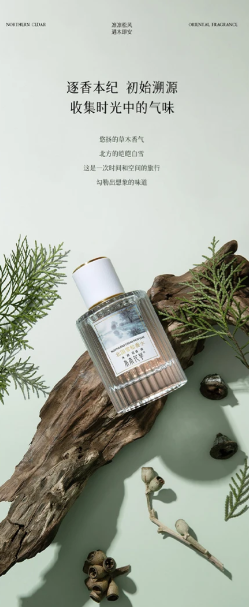 E-commerce Advertisement Image Reverse Rendering Analysis