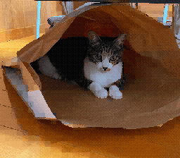 NES Image Conversion Tool Prompt Analysis