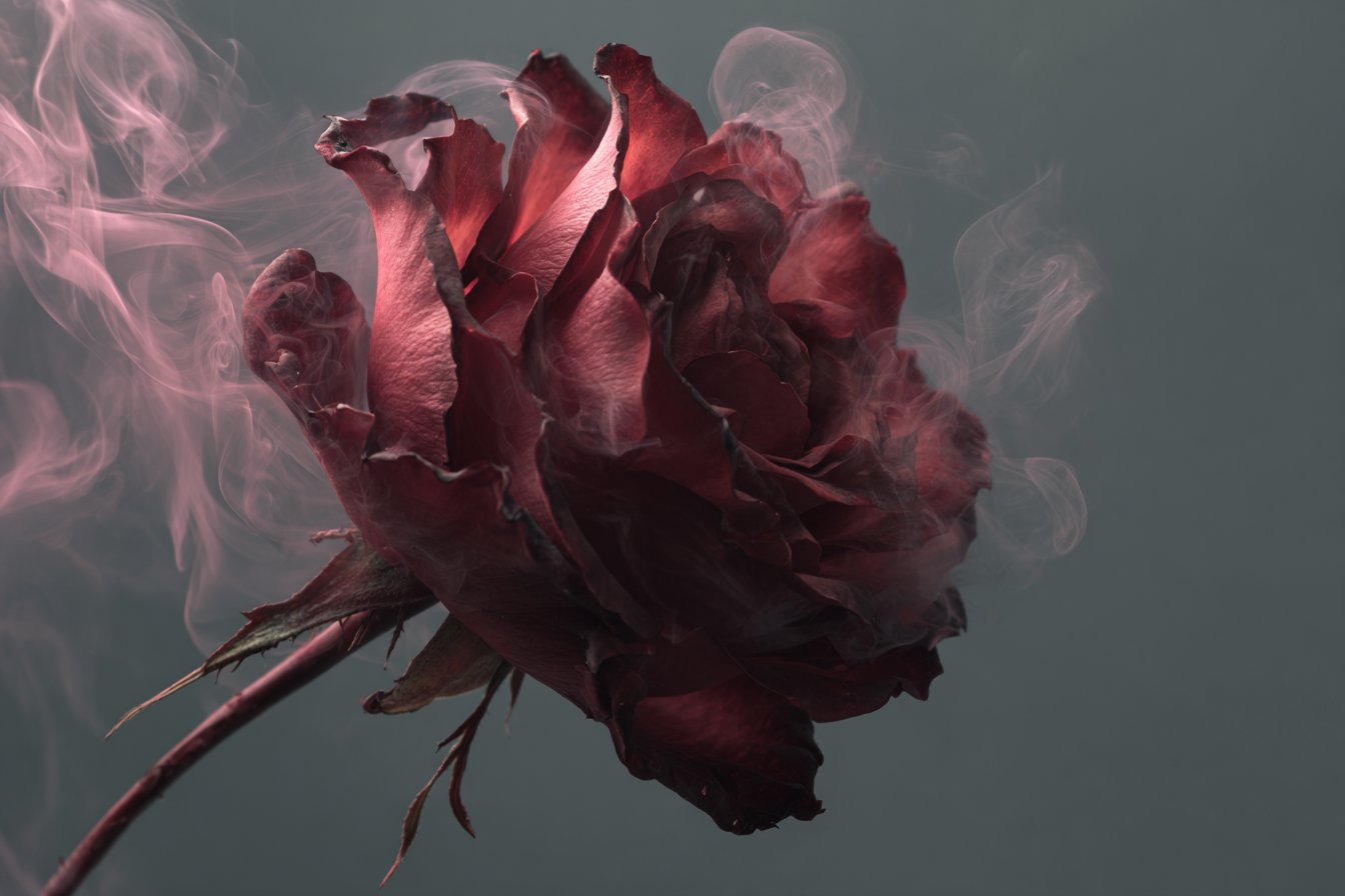 Vapor-Tinged Afterimage, People, nanoBanana-Pro, Haze, Vapor Tinged reference image, image 4 of 4